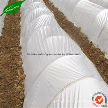 200 Micron Greenhouse Film Clear Greenhouse PE Cover Film